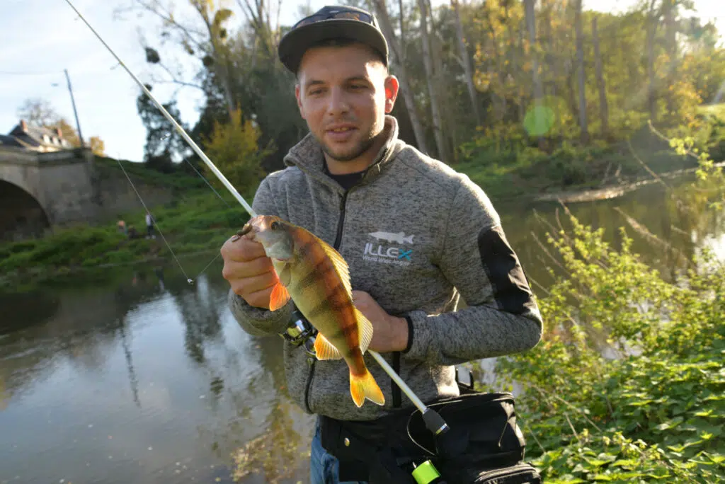 Micro Texas Rig pour la pêche en streetfishing