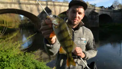 Micro Texas Rig pour la pêche en streetfishing