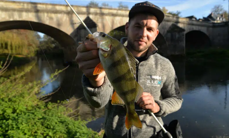 Micro Texas Rig pour la pêche en streetfishing