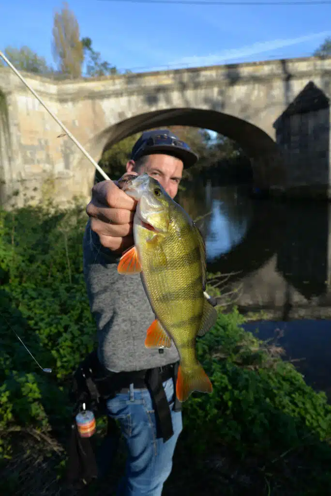 Micro Texas Rig pour la pêche en streetfishing