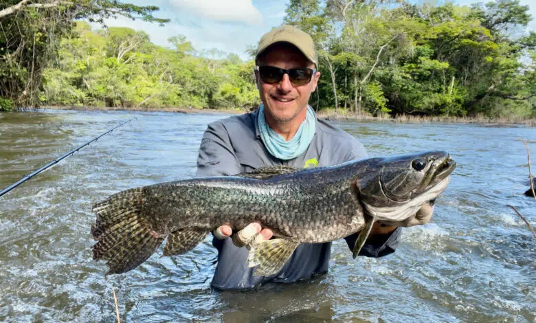 Pêche à la mouche en Guyane française