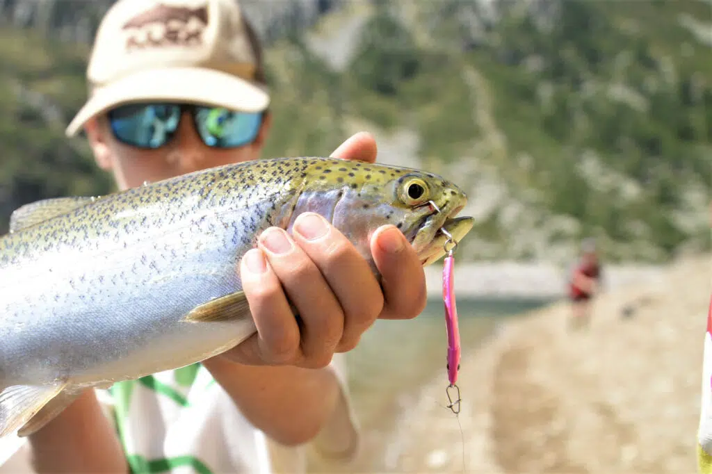 Pêche de la truite au casting jig