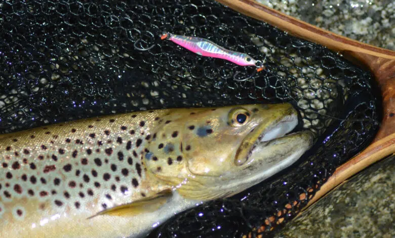 Pêche de la truite au casting jig