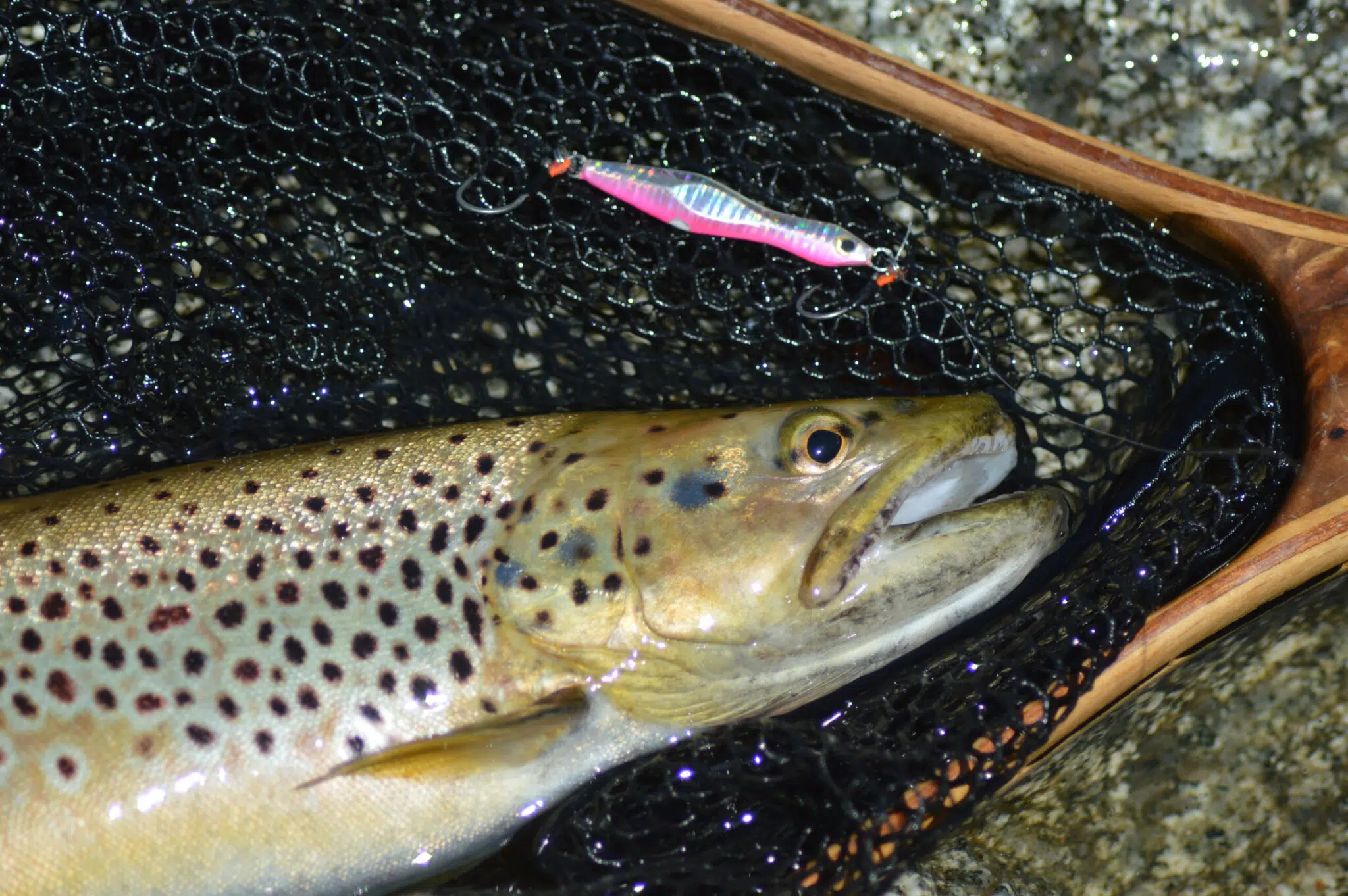 Pêche de la truite au casting jig