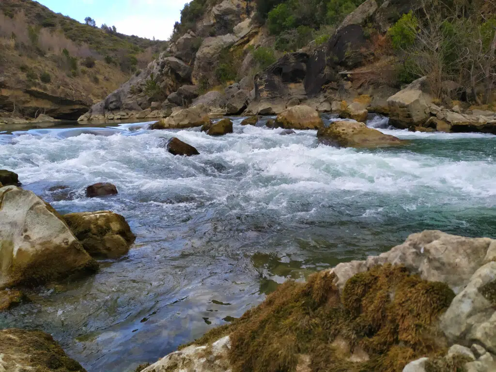 Préparer l'ouverture de la pêche à la truite.