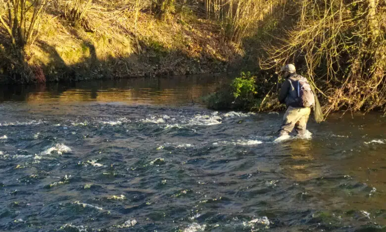 Préparer l'ouverture de la pêche à la truite.