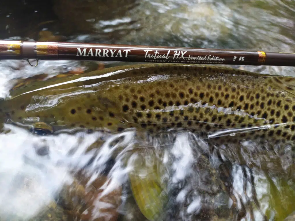 Préparer l'ouverture de la pêche à la truite.