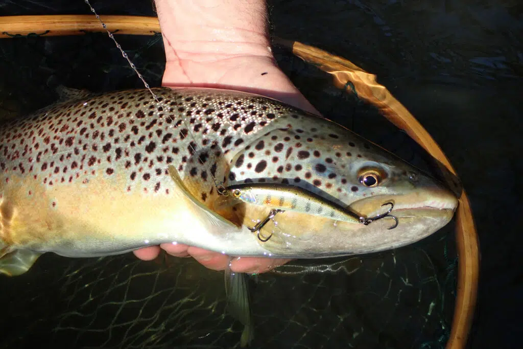 Préparer l'ouverture de la pêche à la truite.