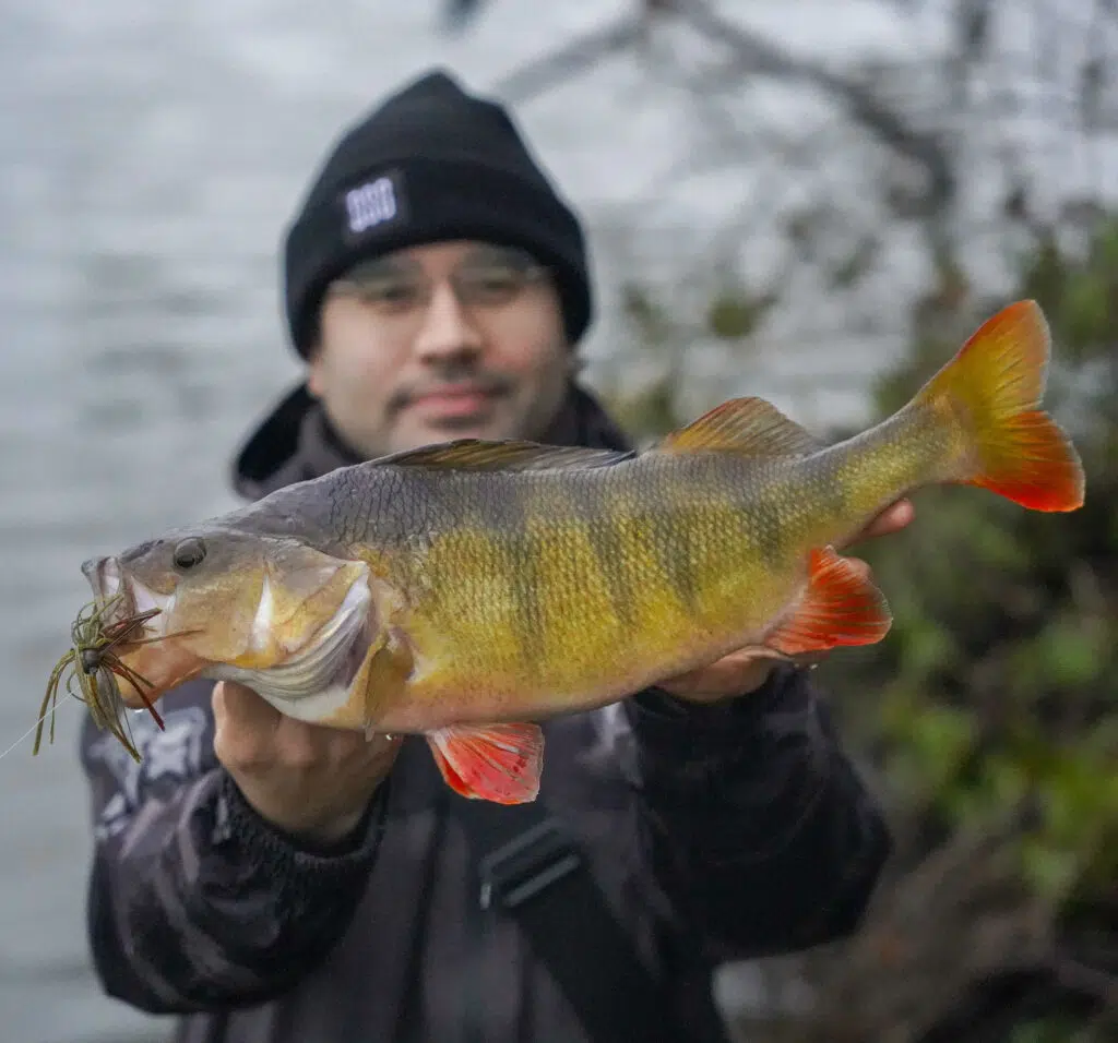 Comment choisir sa ligne pour la pêche ? Nylon, fluoro ou tresse ?