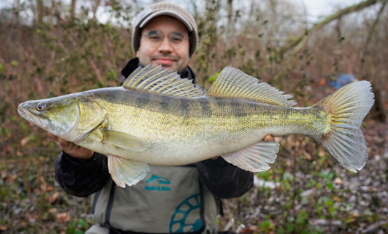 Comment choisir sa ligne pour la pêche ? Nylon, fluoro ou tresse ?