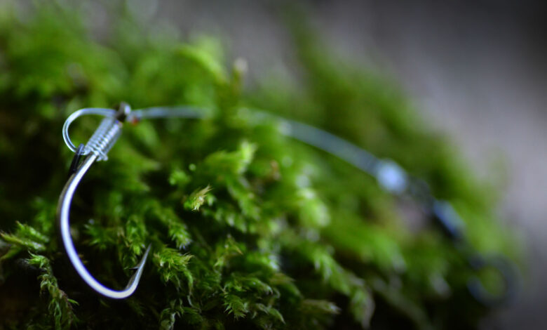 Montage Chod Rig pour la carpe : solution hivernale mais pas seulement 6 Montage chod rig pour la carpe