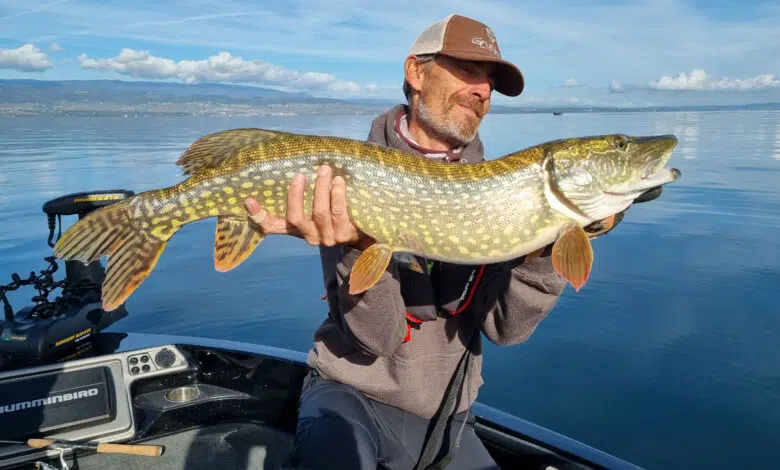 Pêche du brochet au printemps