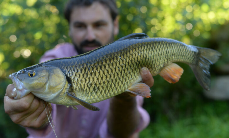 Pêche au micro jig en streetfishing