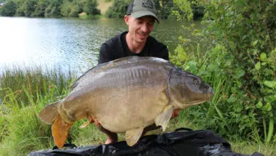 Amorcer lourd pour la pêche de la carpe sans être sponsorisé