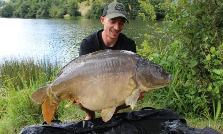 Amorcer lourd pour la pêche de la carpe sans être sponsorisé