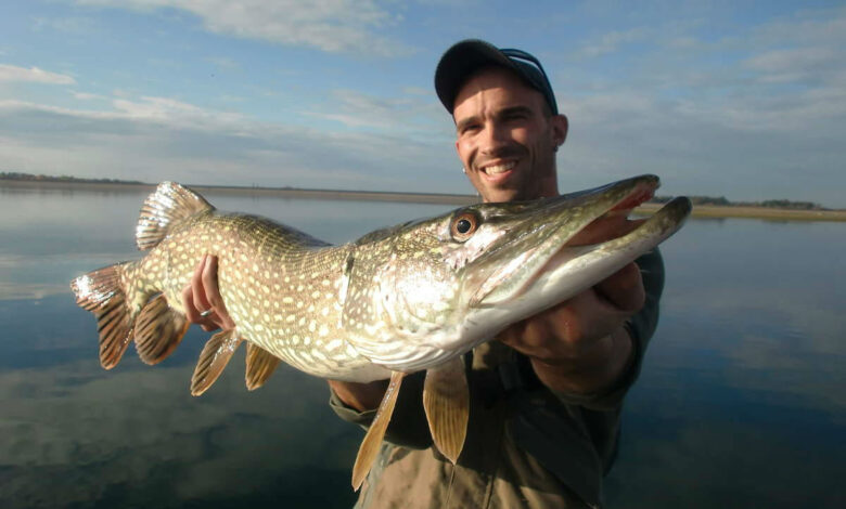 Les meilleurs postes pour pêcher le brochet