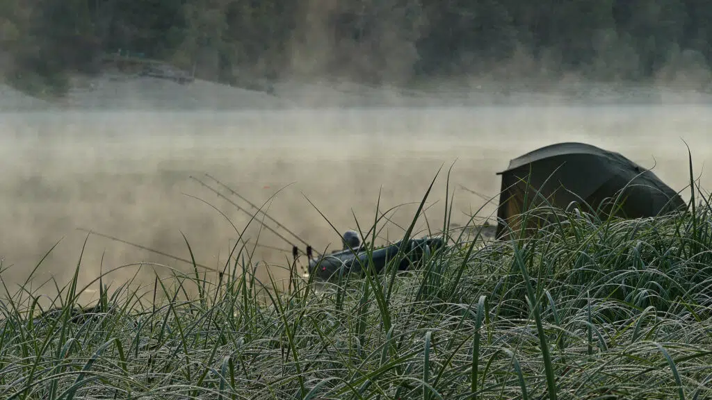 Pêche de la carpe en solo ou en duo.