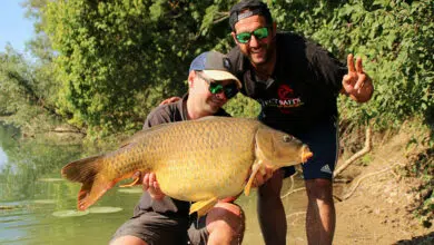 Pêche de la carpe en solo ou en duo.