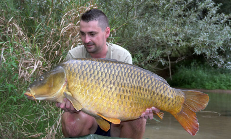 Pêche rapide de la carpe