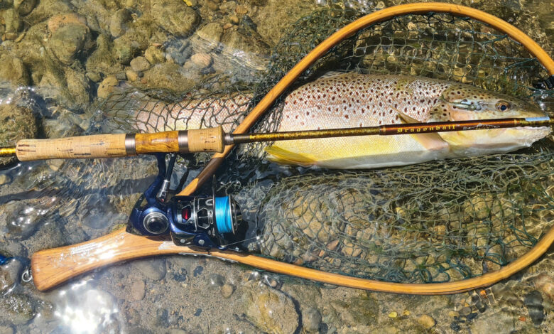 Pêche à la truite en été