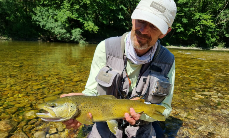 Pêche de la truite en période d'étiage.