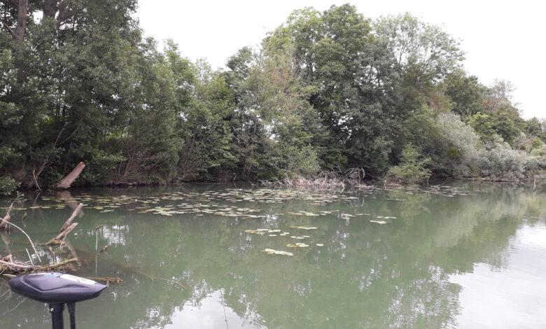 Eviter les accrocs à la pêche