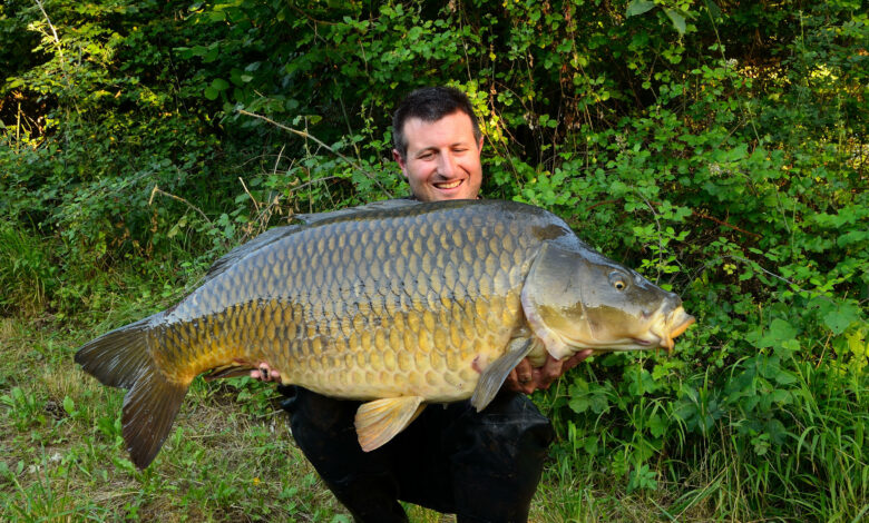 Pêche de la carpe frein bloqué