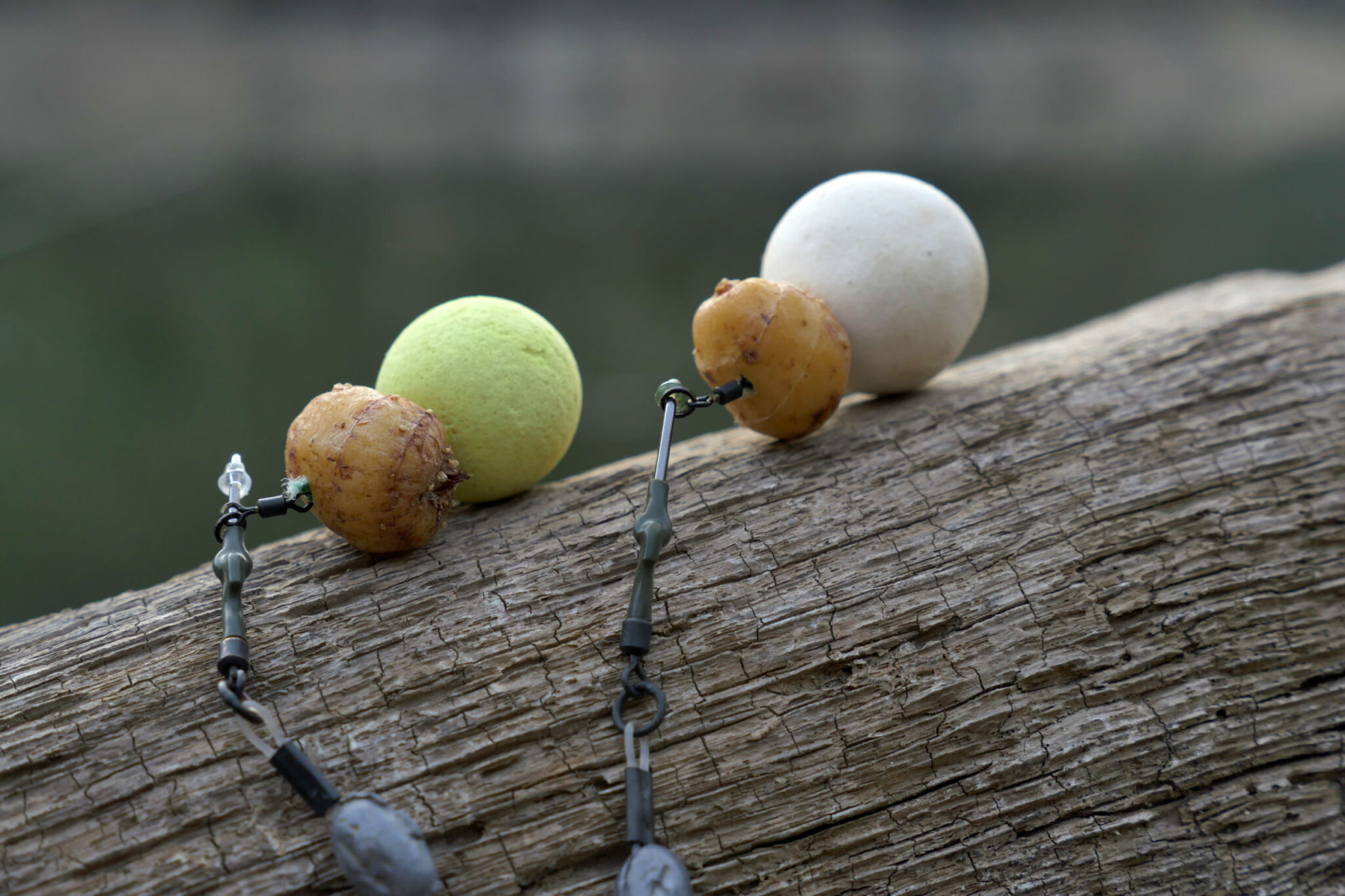 Bouillettes flottantes pour la pêche à la carpe