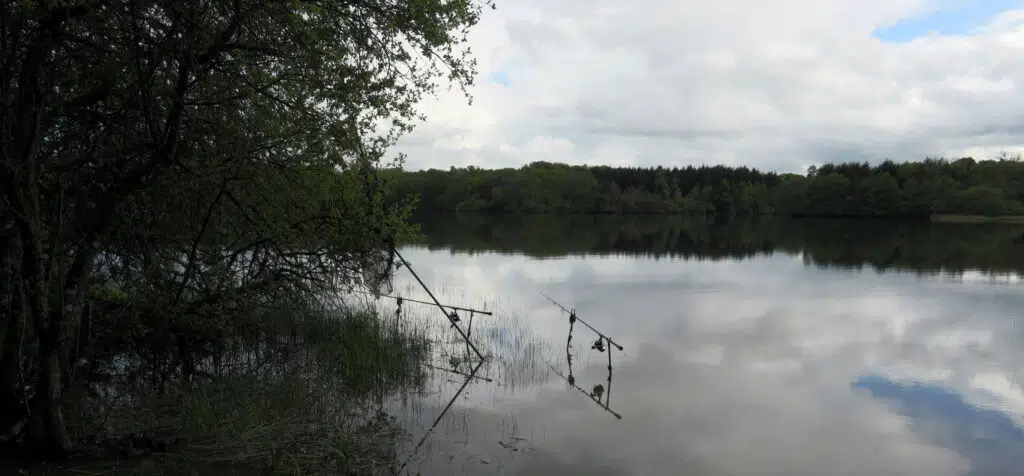 Pêche de la carpe avec des bouillettes flottantes