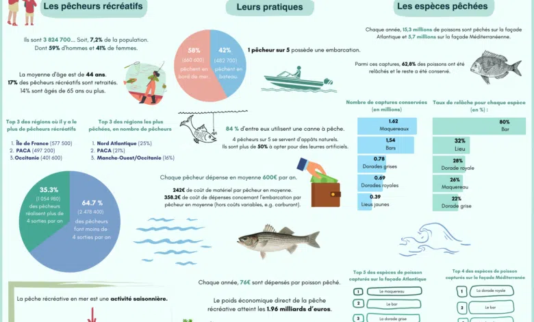 Illustration pêche récréative en mer