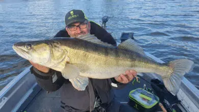 Choisir la bonne tête plombée pour pêcher le sandre.