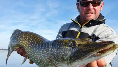 Préparer sa partie de pêche et son, matériel.