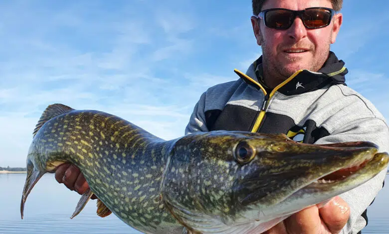 Préparer sa partie de pêche et son, matériel.