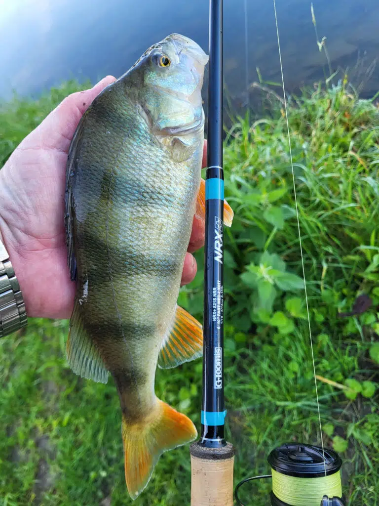 Préparer sa partie de pêche et son, matériel.