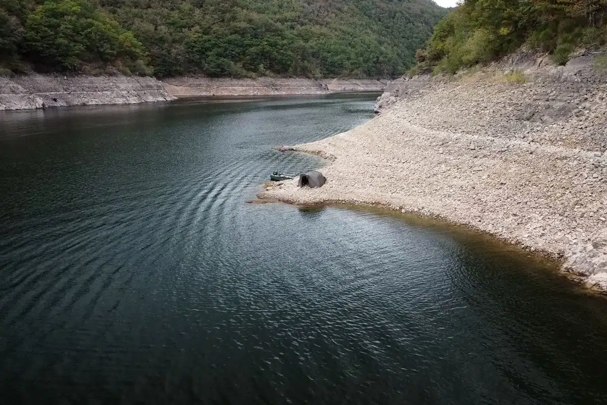 Pêche de la carpe et pression de pêche