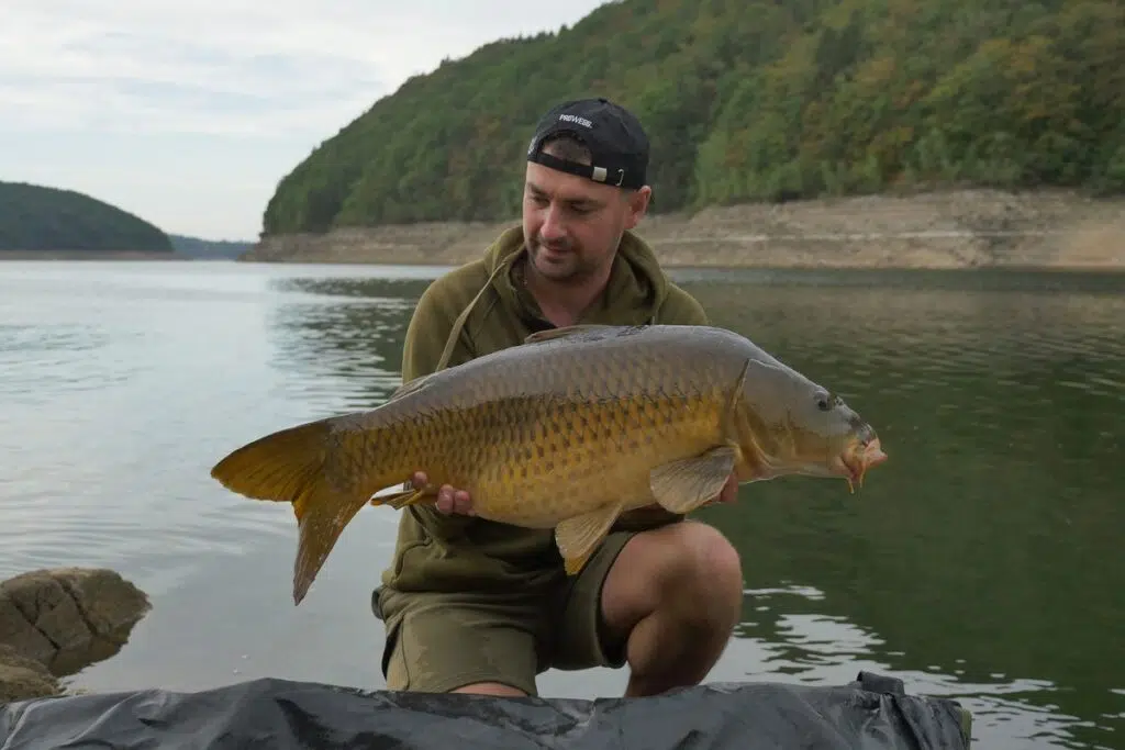 Pêche de la carpe et pression de pêche