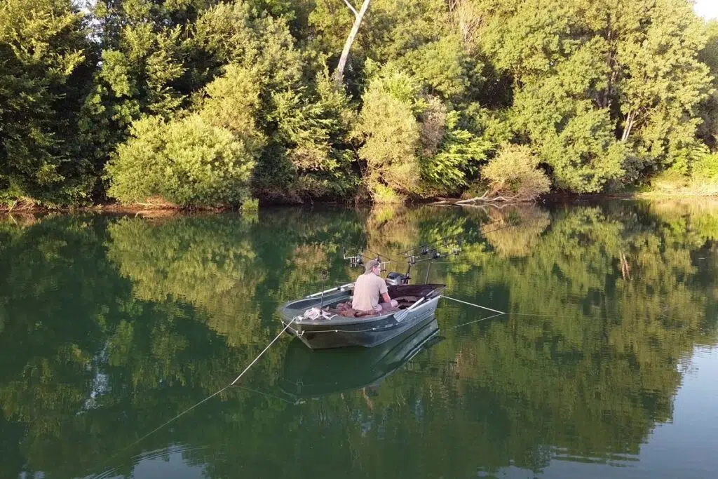 Pêche de la carpe et pression de pêche