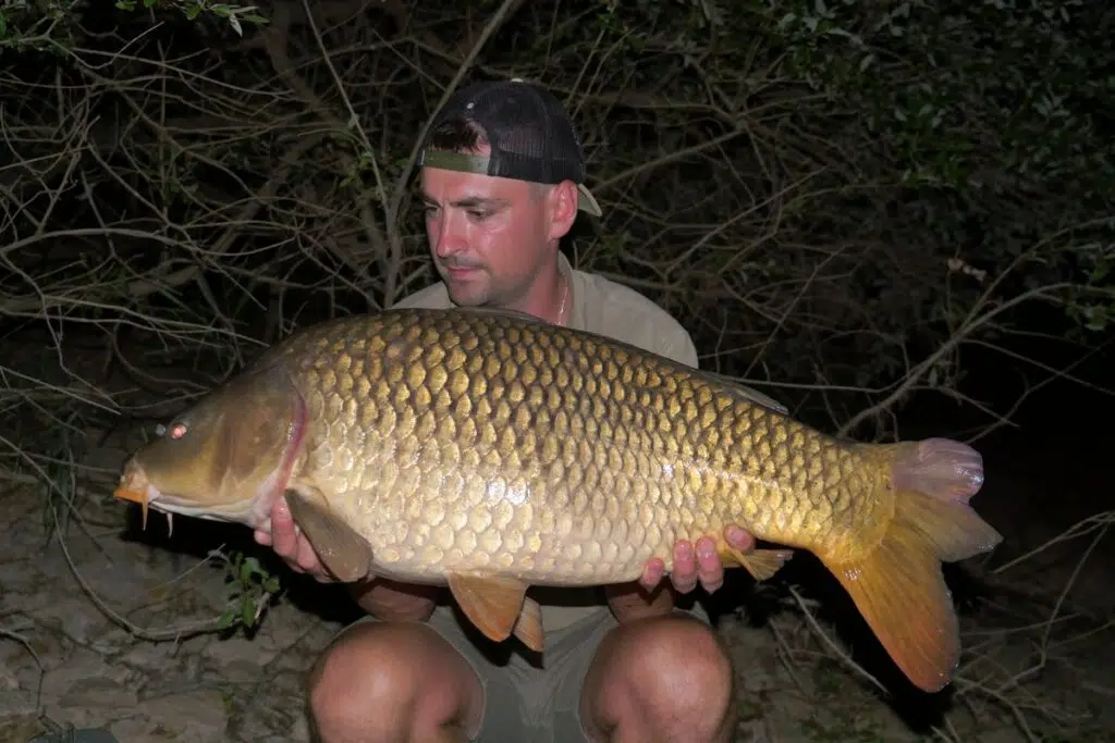 Pêche de la carpe et pression de pêche