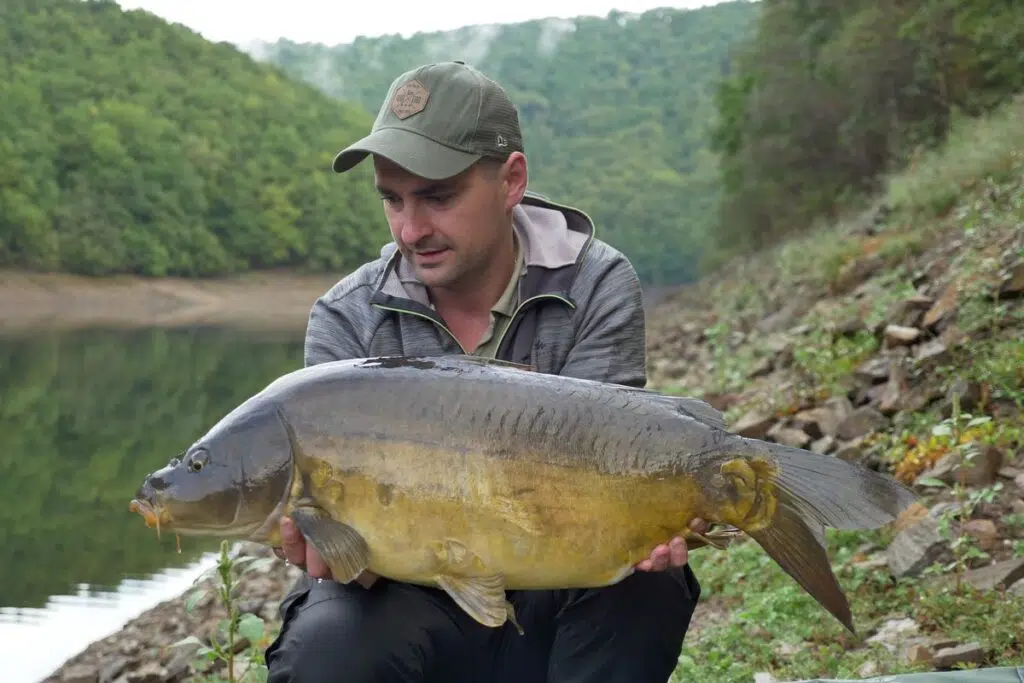 Pêche de la carpe et pression de pêche