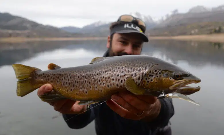 Pêche de la truite au leurre avec la technique de l'ascenseur