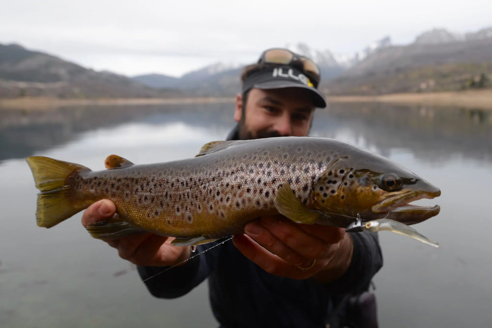 Pêche de la truite au leurre avec la technique de l'ascenseur