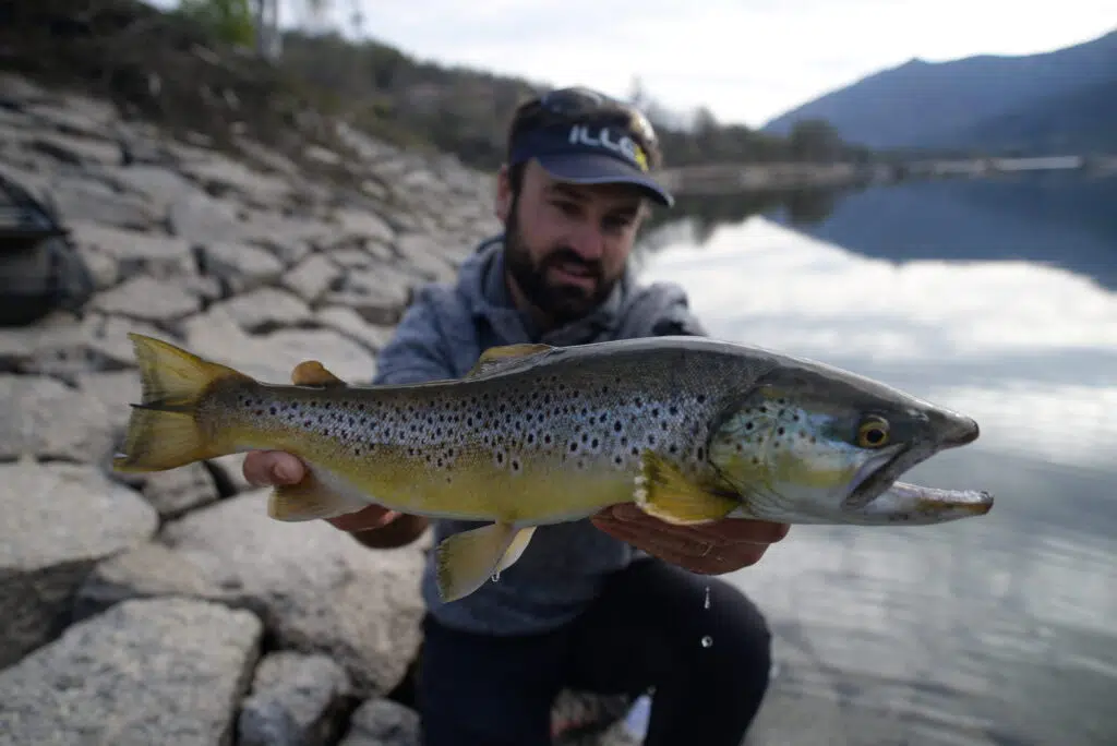 Pêche de la truite au leurre avec la technique de l'ascenseur