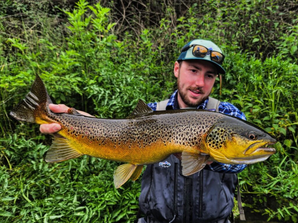 Comment pêcher les grosses truites aux leurres en grandes rivières