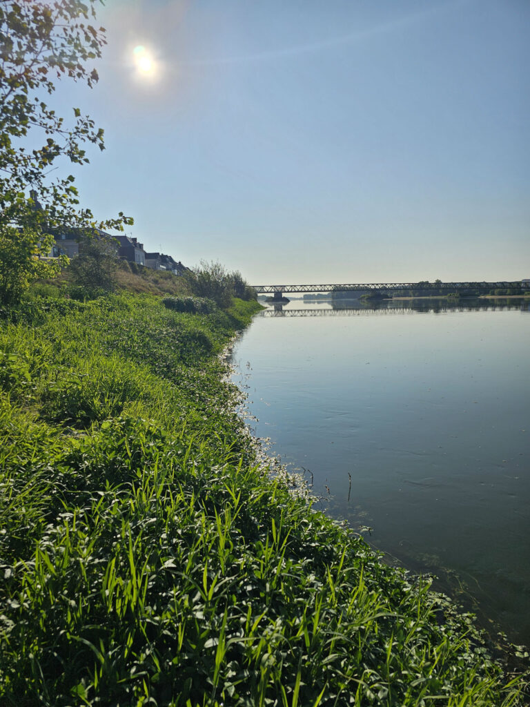 Pêche de l'aspe en France