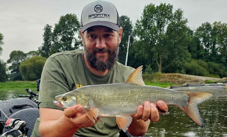 Pêche de l'aspe en France