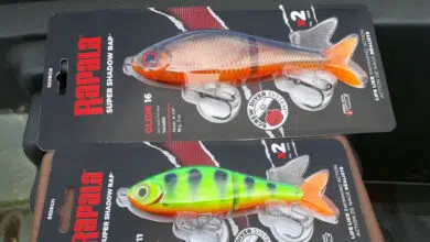 Leurre Rapala Super Shadow Rap