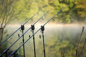 Magazine de pêche gratuit 25 Canne à pêche pour la carpe
