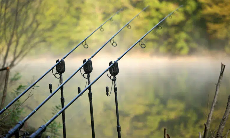 Canne à pêche pour la carpe