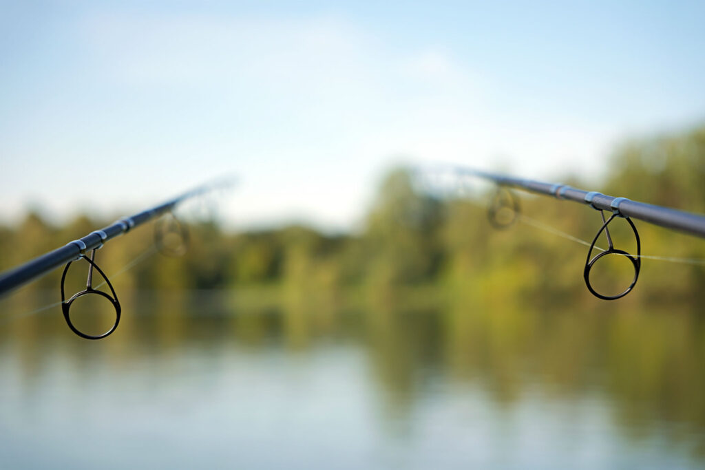 Canne à pêche pour la carpe