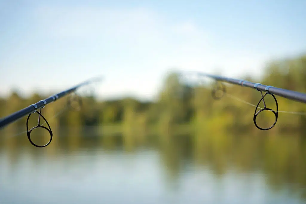 Canne à pêche pour la carpe